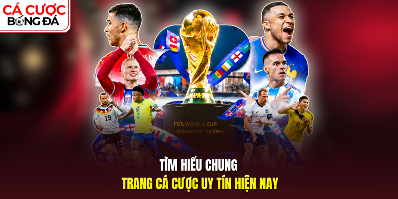 Tìm hiểu chung trang cá cược uy tín hiện nay