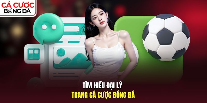 Tìm hiểu đại lý trang Cá cược bóng đá